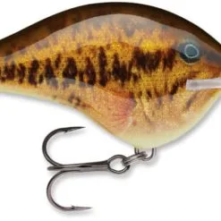 Rapala DT Dives To -Rapala Winkel 100 674ed34f 47c3 43ee a9d9 535d0a9adb1b