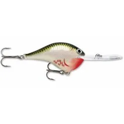 Rapala DT Dives To -Rapala Winkel 101 6ec862e6 2806 41c5 be8e 68b08d04748d