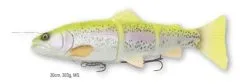 Savage Gear 4D Line Thru Trout 40cm -Rapala Winkel 1 304d9a20 8c12 4e05 b591 da08b1d890c5