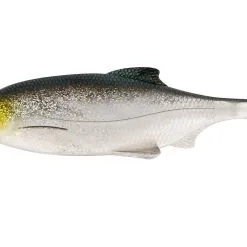 Westin Ricky The Roach Shadtail + Rigged N Ready -Rapala Winkel 1 bc35e016 fecb 47a5 9f66 6b1027d498c5