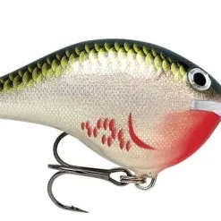 Rapala DT Dives To