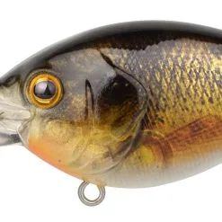 Spro Ikiru Crank 60 LL -Rapala Winkel 2 5ed81924 b2da 42be ad1d c51483f2c70b