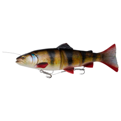 Savage Gear 4D Line Thru Trout 40cm -Rapala Winkel 41