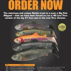 Savage Gear 4D En 3D Trout Rattle Shad 27,5 Cm