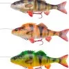 Savage Gear 4D Line Thru Perch -Rapala Winkel 57420 57425 SG 4D Line Thru Perch Colours 1