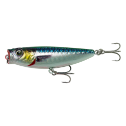 Savage Gear 3D MINNOW POP WALKER + POP Walker 2.0 -Rapala Winkel 64084