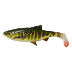 Savage Gear 4D River Roach -Rapala Winkel GetImage 1 867560c7 e3a0 4c35 aa84 7ffa9a114f3c