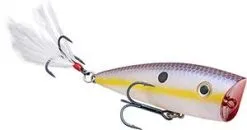 Strike King KVD SPLASH -Rapala Winkel HCKVDSPL 598