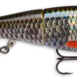 Rapala X-rap Peto -Rapala Winkel Naamloos 4ec16d8a 02e2 4799 91d0 eb33ca68a035