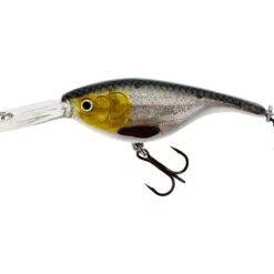 Westin Babybite 6.5cm SR & DR -Rapala Winkel P046 449 003 large a989531a 38f7 417a b7c2 459e3de80655