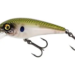 Westin BullyBite Crankbait -Rapala Winkel P134 421 1 large e7fc25a2 7d7c 4e2c a231 e48e5818ee43