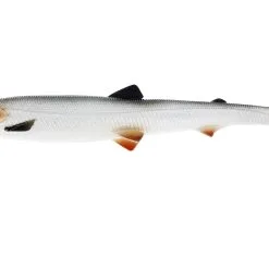 Westin Bullteez Shadtail -Rapala Winkel P138 136 x1 large 7ca59892 9855 4c87 9020 97f8334d7ccc