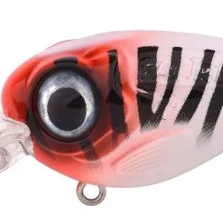 Spro Fat Iris -Rapala Winkel ftp 2 2021 fat iri 50 dr 40