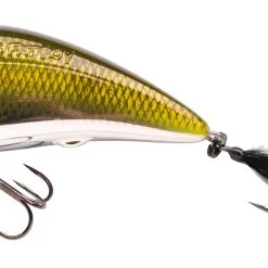 Spro Iris Fatboy 11 Spro Iris Fatboy -Rapala Winkel media 1294948 4867 1606 001 P scaled