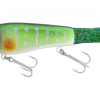 St. Croix Legend Tournament Pike Casting -Rapala Winkel pike